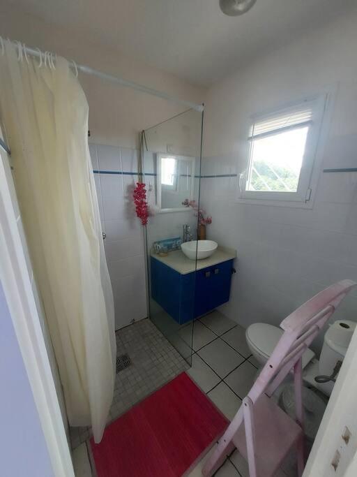 Grand Studio En Bas De Villa Avec Vue Sur Mer Au Carbet لو كاربيت المظهر الخارجي الصورة